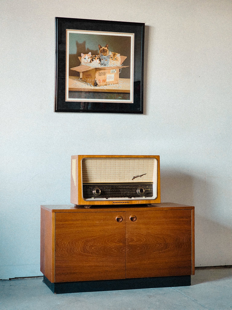 Mid Century Record Holder/Stand - Reclaimed Mt. Goods