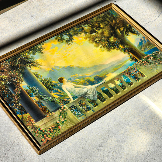 Vintage R Atkinson Fox Sunset Dreams Framed Print - Reclaimed Mt. Goods