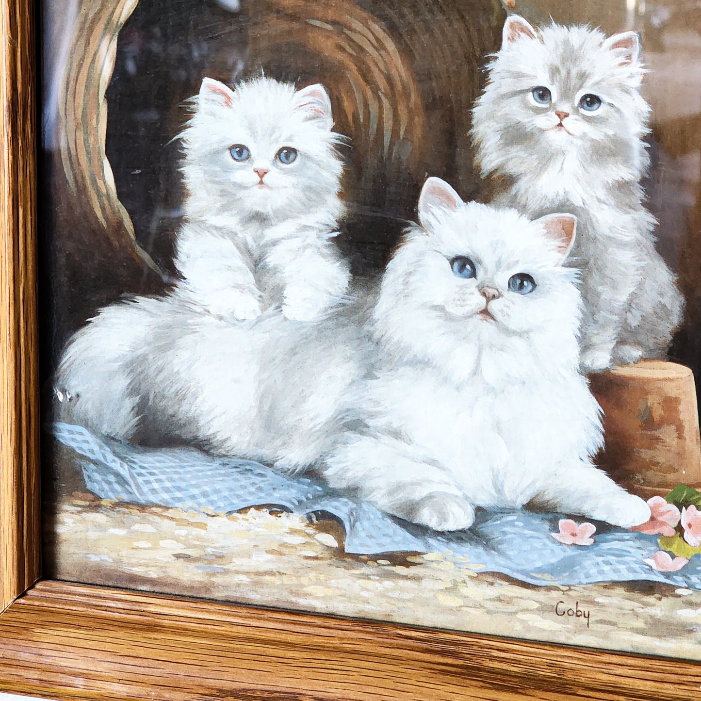 Adorable Vtg Kitten Framed Print