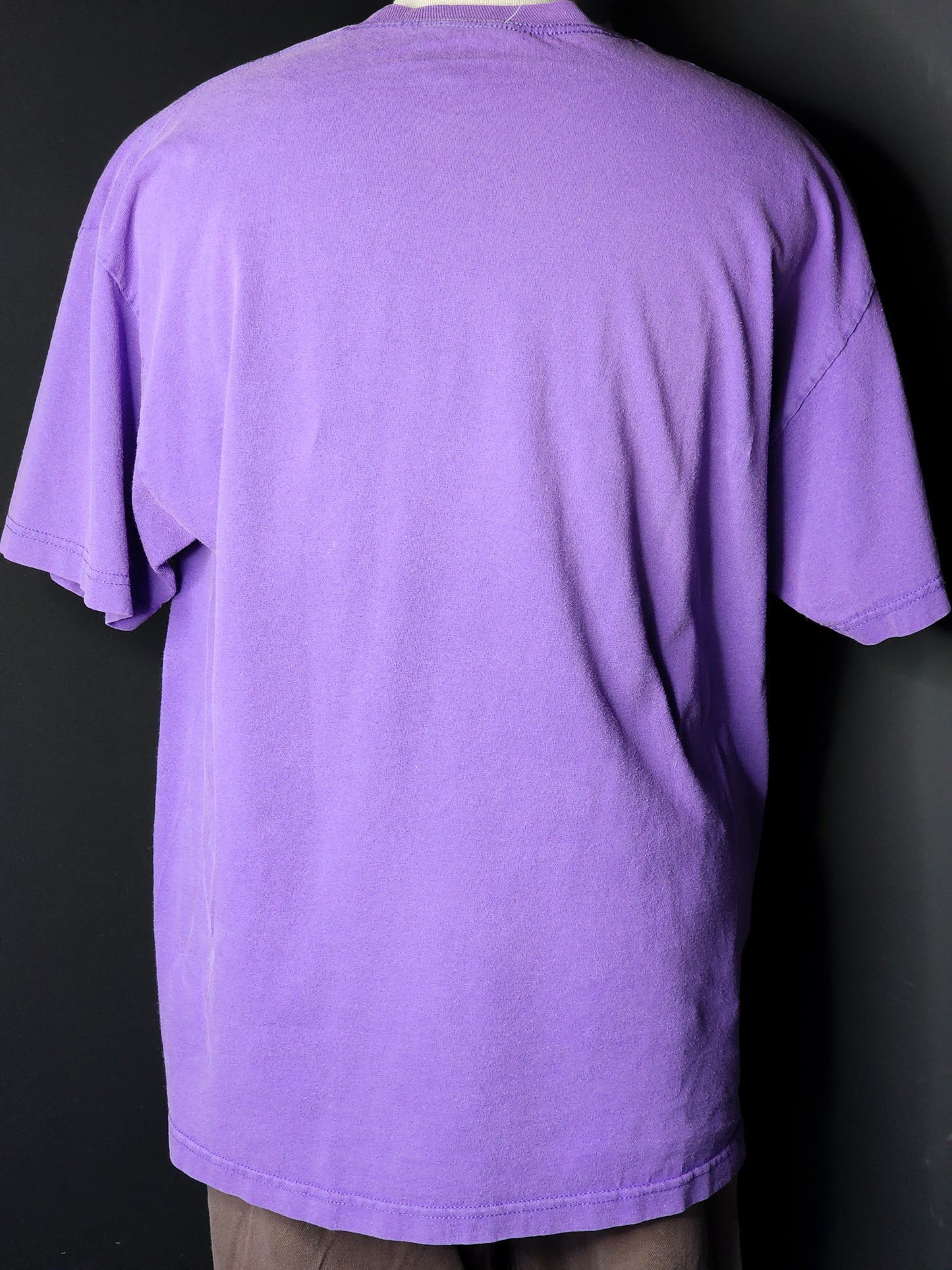 Vtg Arizona Embroidered Purple Tee Tagged L