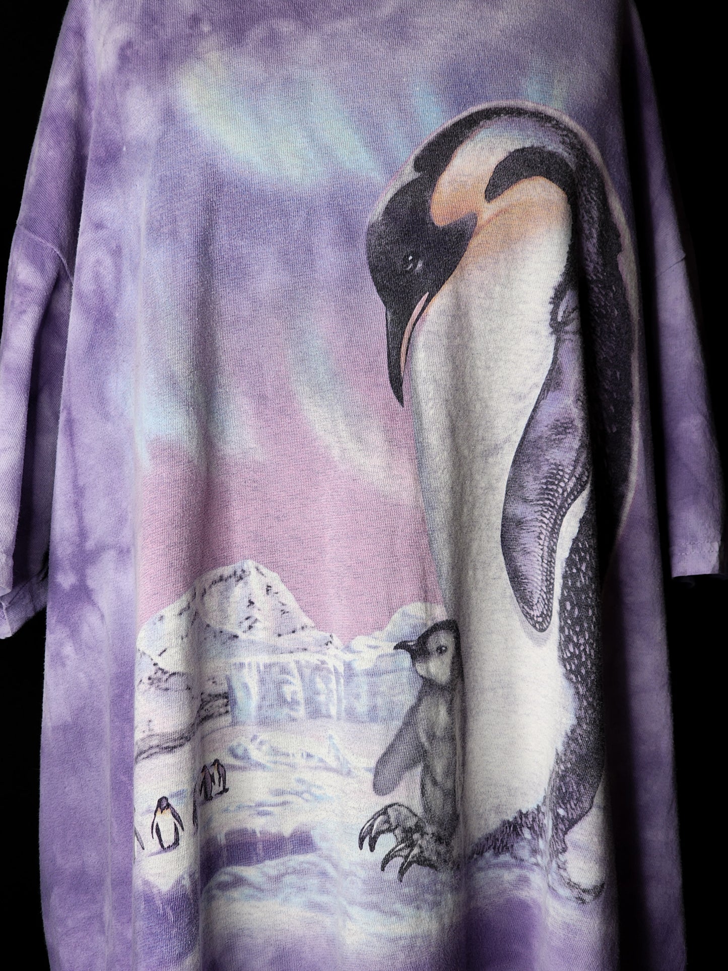 The Mountain  Purple Penguin Nature Tee Tagged L