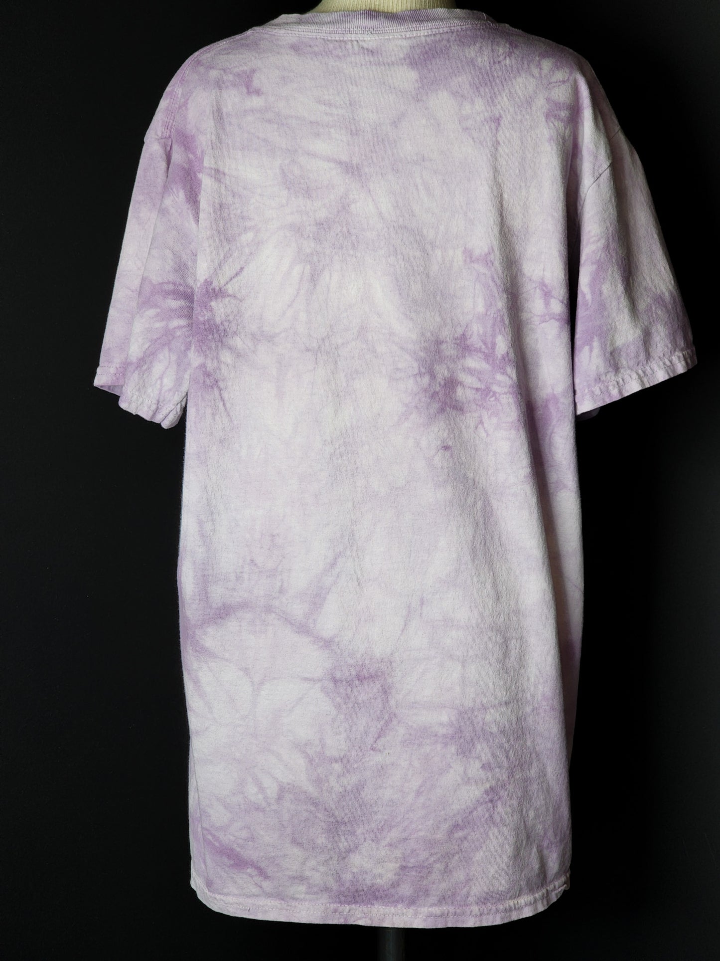 Cotton Purple Virgo The Mountain Tee Tagged S